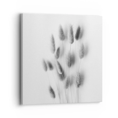 Impression sur toile - Image sur toile - Son herbe duveteuse - 30x30 cm