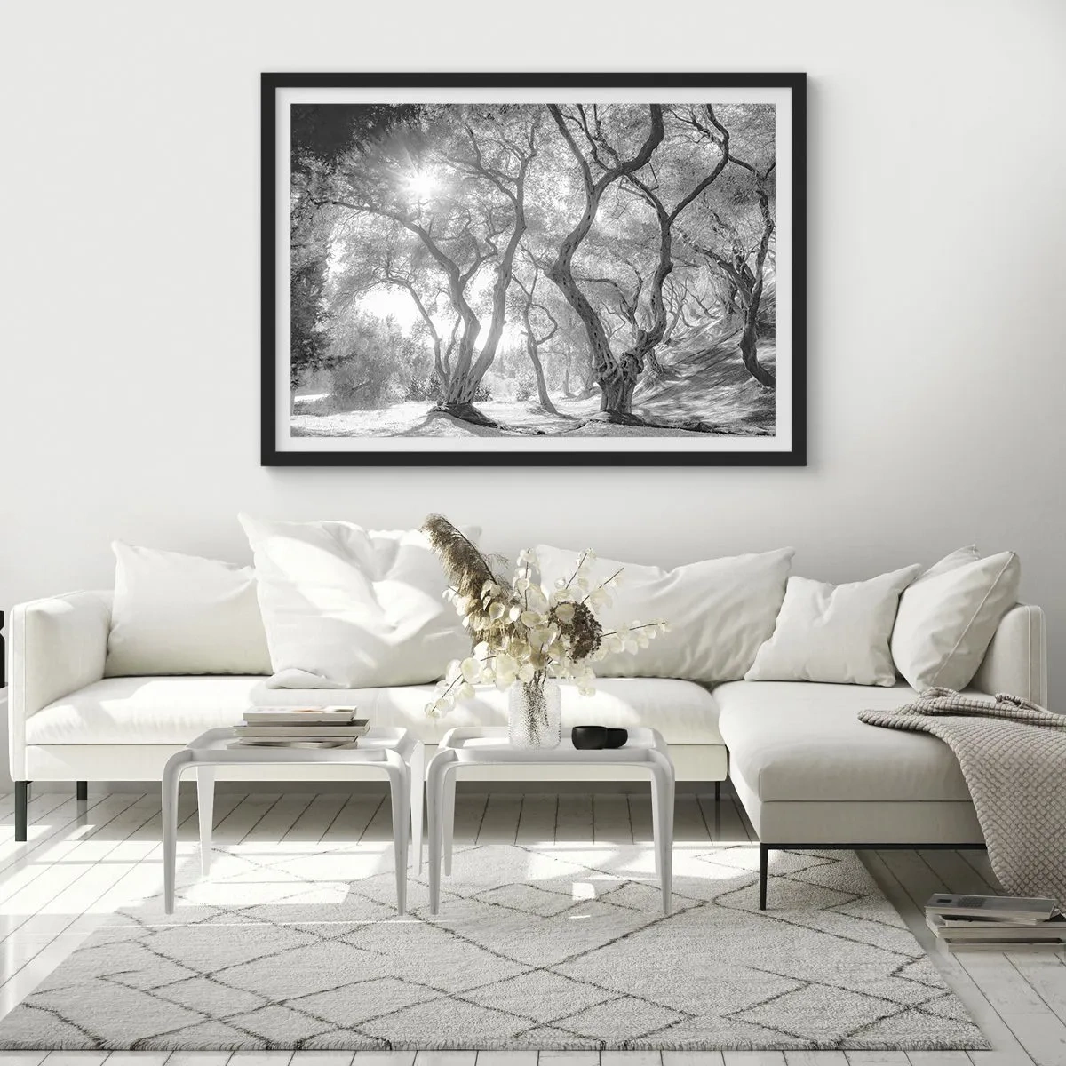 Affiche dans un cadre noir - Poster - Vue en noir et blanc d'arbres dans une oliveraie avec des rayons de soleil - 70x50cm - Dans l'oliveraie - Décoration murale moderne pour le salon et la chambre ARTTOR