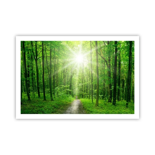 Affiche - Poster - Cathédrale verte - 91x61 cm