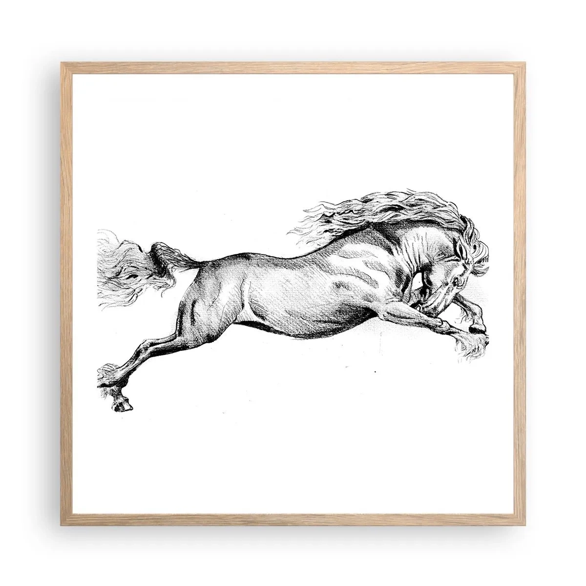 Affiche dans un chêne clair - Poster - Immortalisé au galop - 60x60 cm