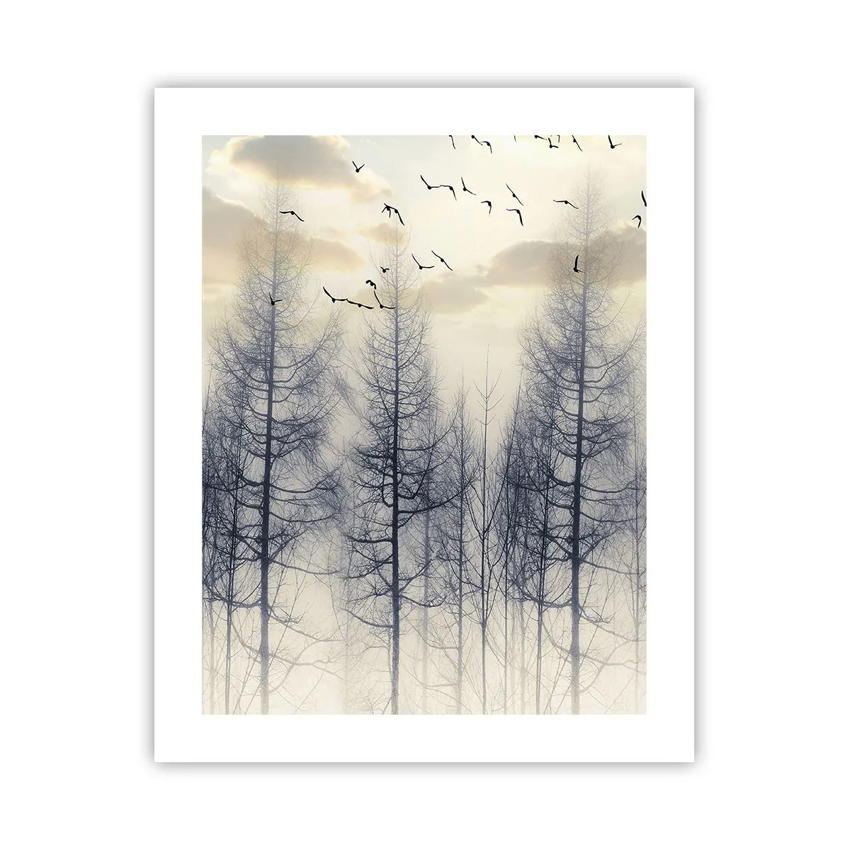 Affiche - Poster - L'âme de la forêt - 40x50 cm