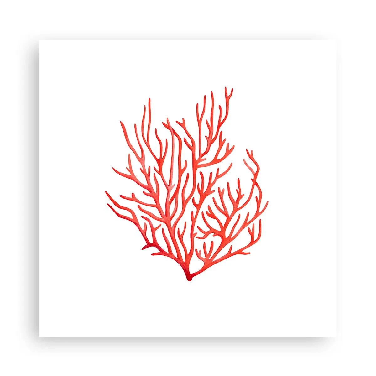 Affiche - Poster - Filigrane de corail - 30x30 cm