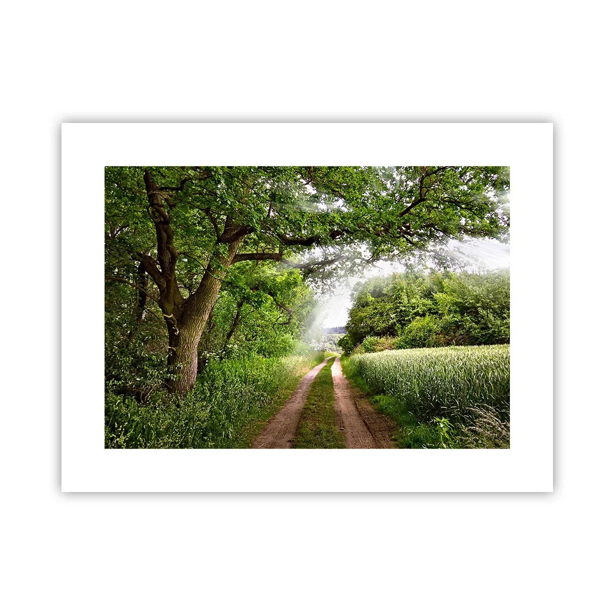 Affiche - Poster - Et in Arcadia ego - 40x30 cm