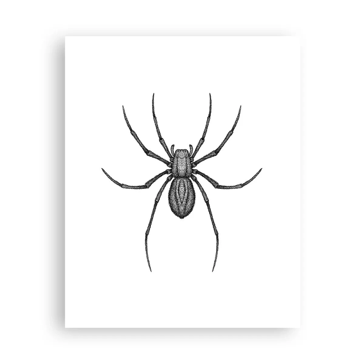 Affiche - Poster - Une précision troublante - 40x50 cm