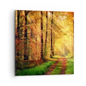 Impression sur toile - Image sur toile - Silence d'or en forêt - 70x70 cm