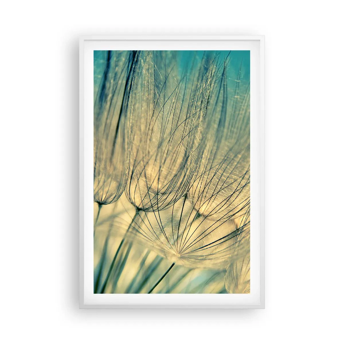 Affiche dans un cadre blanc - Poster - En attente du vent - 61x91 cm