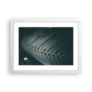 Affiche dans un cadre blanc - Poster - Précision de la nature - 40x30 cm
