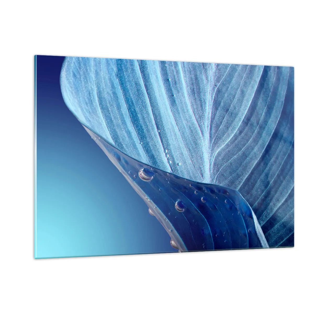 Impression sur verre - Image sur verre - Une feuille dans des tons bleus avec des gouttes d'eau sur un fond dégradé. - 120x80cm - Gouttes cachées du bleu - Décoration murale moderne pour le salon et la chambre ARTTOR