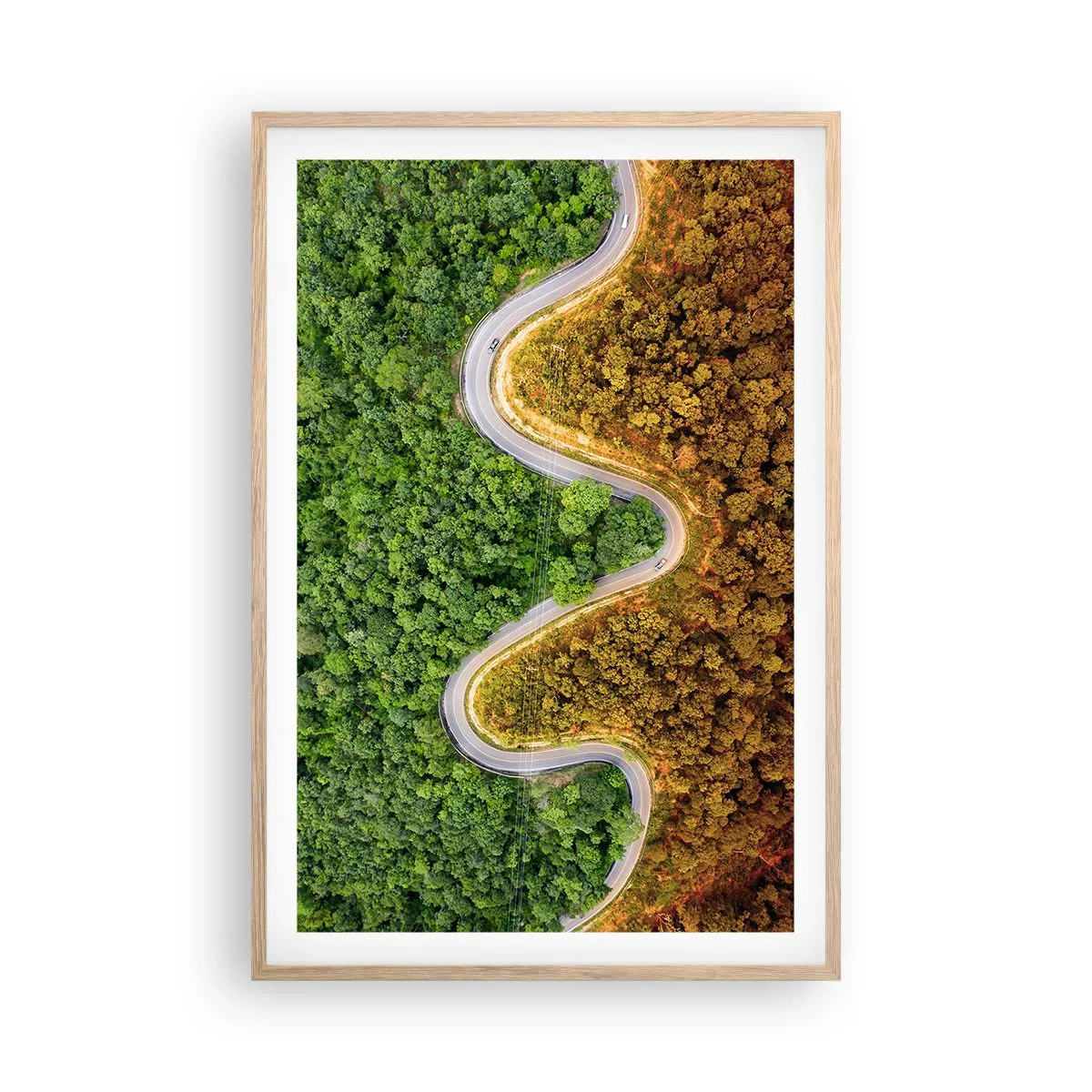 Affiche dans un chêne clair - Poster - Frontieres et differences - 61x91 cm