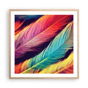 Affiche dans un chêne clair - Poster - Arc-en-ciel de plumes - 60x60 cm