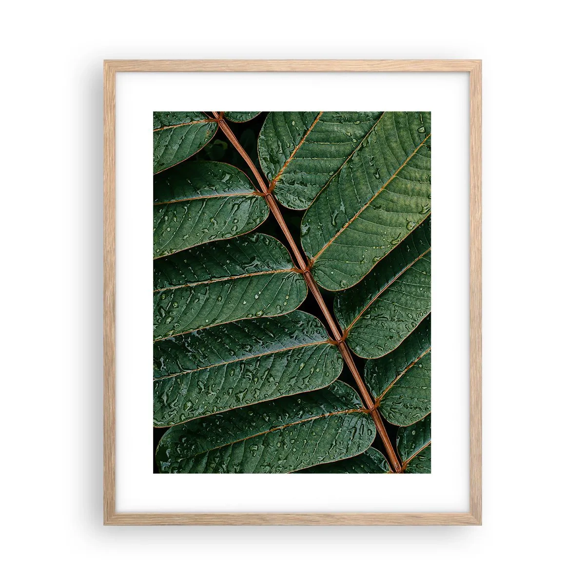 Affiche dans un chêne clair - Poster - Au rythme de la verdure - 40x50 cm