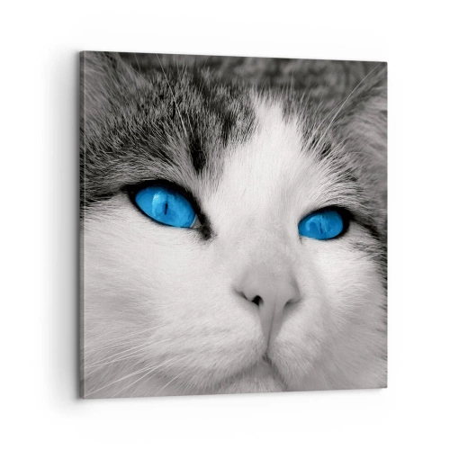 Impression sur toile - Image sur toile - Yeux bleus inhabituels - 60x60 cm