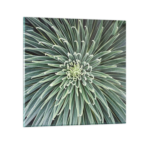 Impression sur verre - Image sur verre - Naissance d'une étoile - 50x50 cm