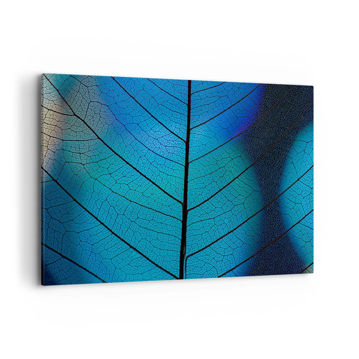 Impression sur toile - Image sur toile - Gros plan d'une feuille bleue avec des détails de veines visibles - 120x80cm - Construction complexe - Décoration murale moderne pour le salon et la chambre ARTTOR