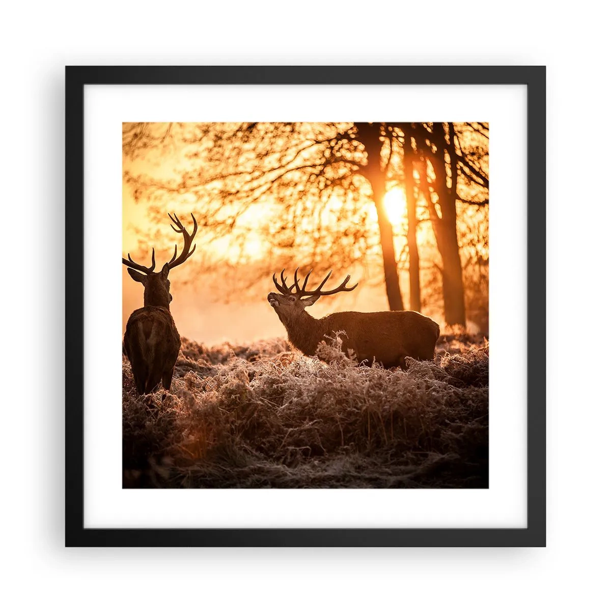 Affiche dans un cadre noir - Poster - Le rêve d'un chasseur - 40x40 cm