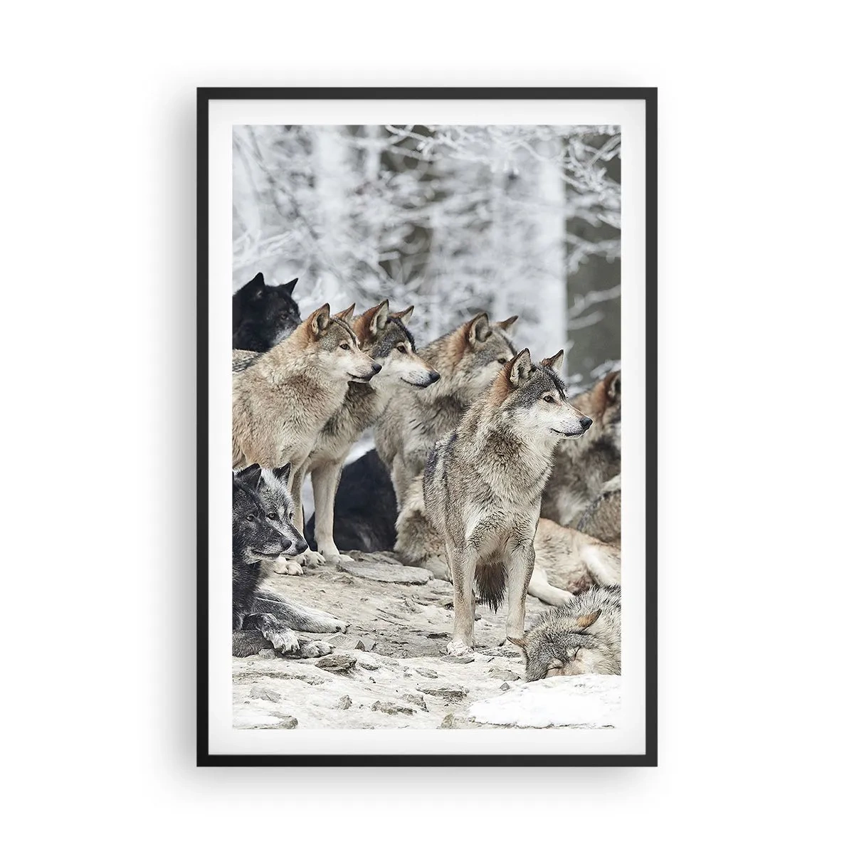 Affiche dans un cadre noir - Poster - Famille et amis - 61x91 cm
