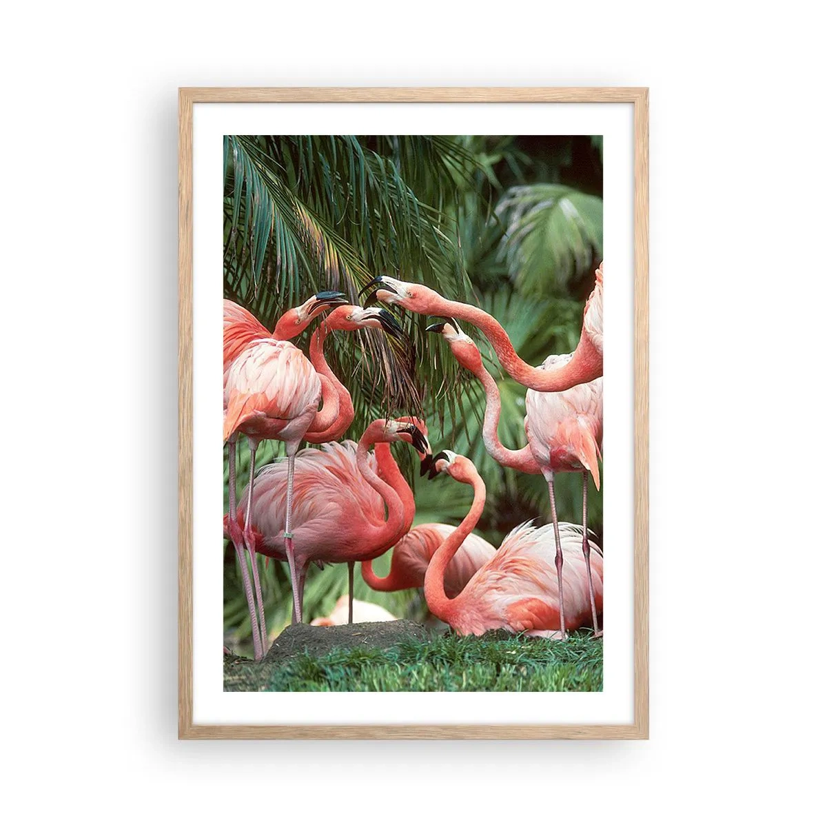 Affiche dans un chêne clair - Poster - Potins d'après-midi - 50x70 cm