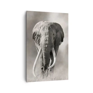 Impression sur toile - Image sur toile - Patriarche africain - 80x120 cm