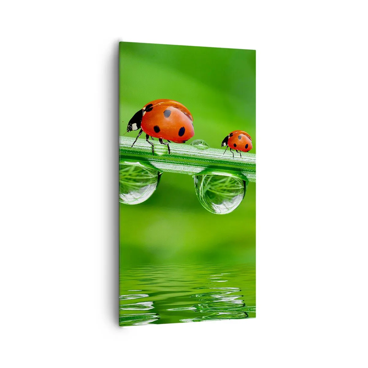 Impression sur toile - Image sur toile - Sur la route tout l'été - 65x120 cm