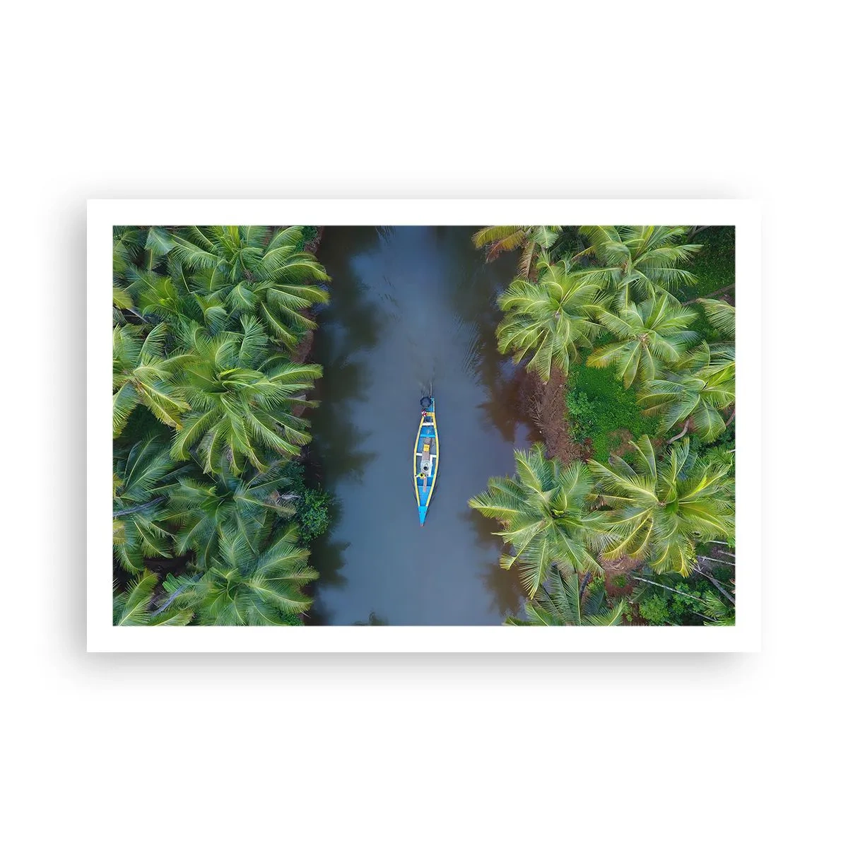 Affiche - Poster - Sur un sentier tropical - 91x61 cm