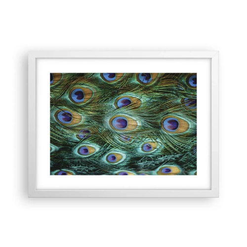 Affiche dans un cadre blanc - Poster - Un regard de paon - 40x30 cm