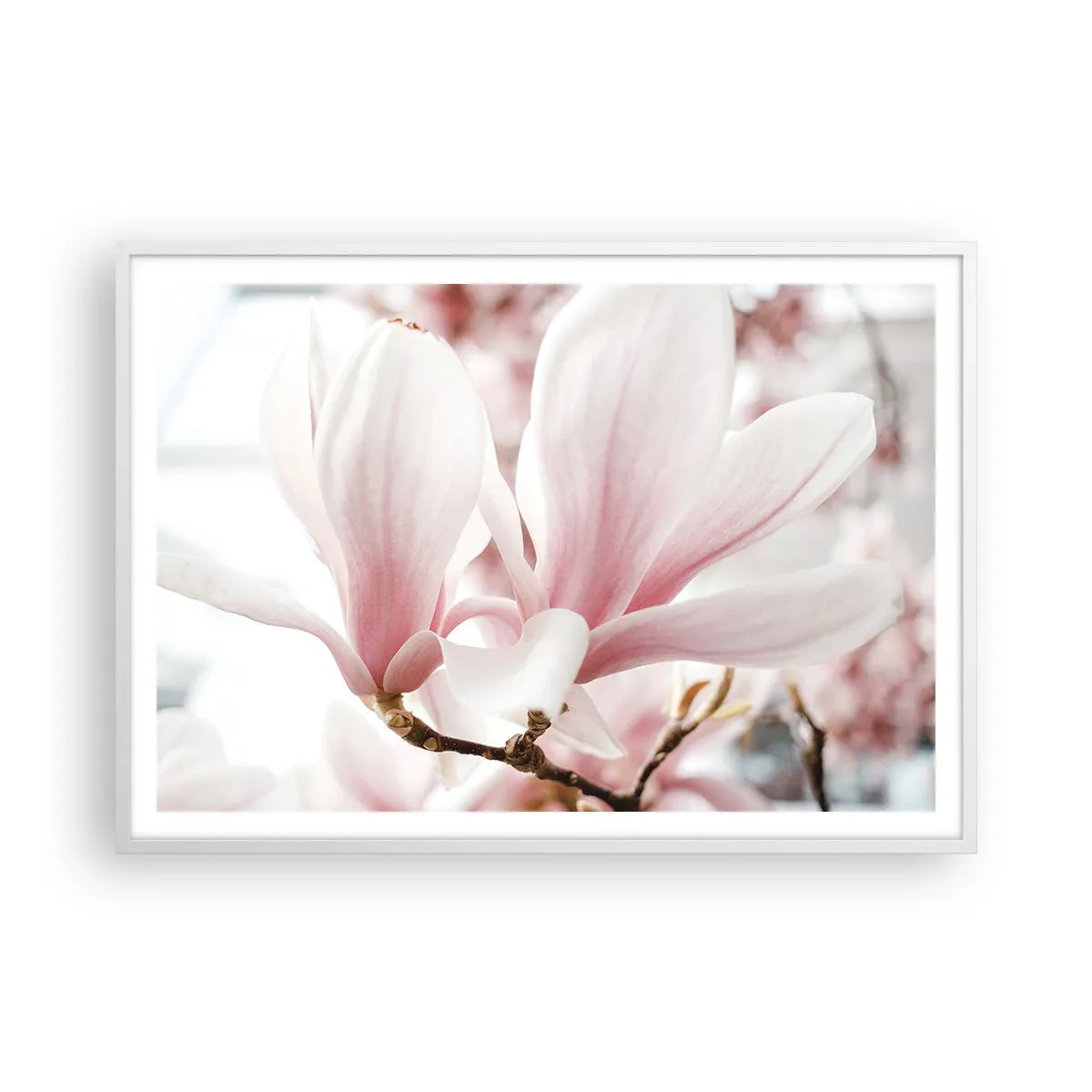 Affiche dans un cadre blanc - Poster - Abondance de tendresse - 100x70 cm