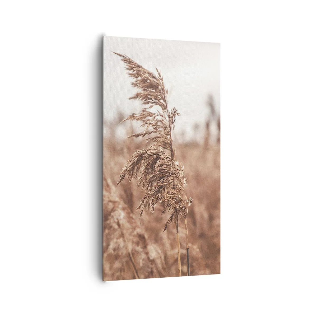 Impression sur toile - Image sur toile - C'est déjà l'automne dans les champs - 65x120 cm