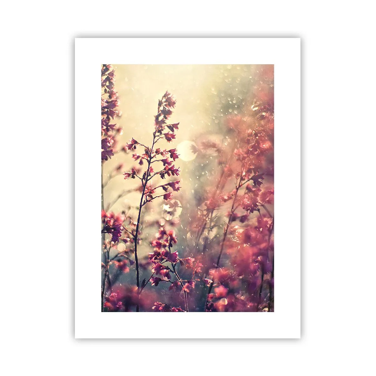 Affiche - Poster - Jardin secret - 30x40 cm