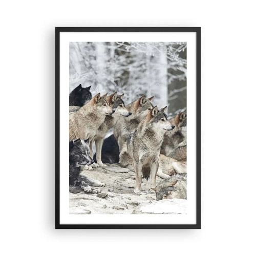Affiche dans un cadre noir - Poster - Un groupe de loups dans la forêt d'hiver - 50x70cm - Famille et amis - Décoration murale moderne pour le salon et la chambre ARTTOR