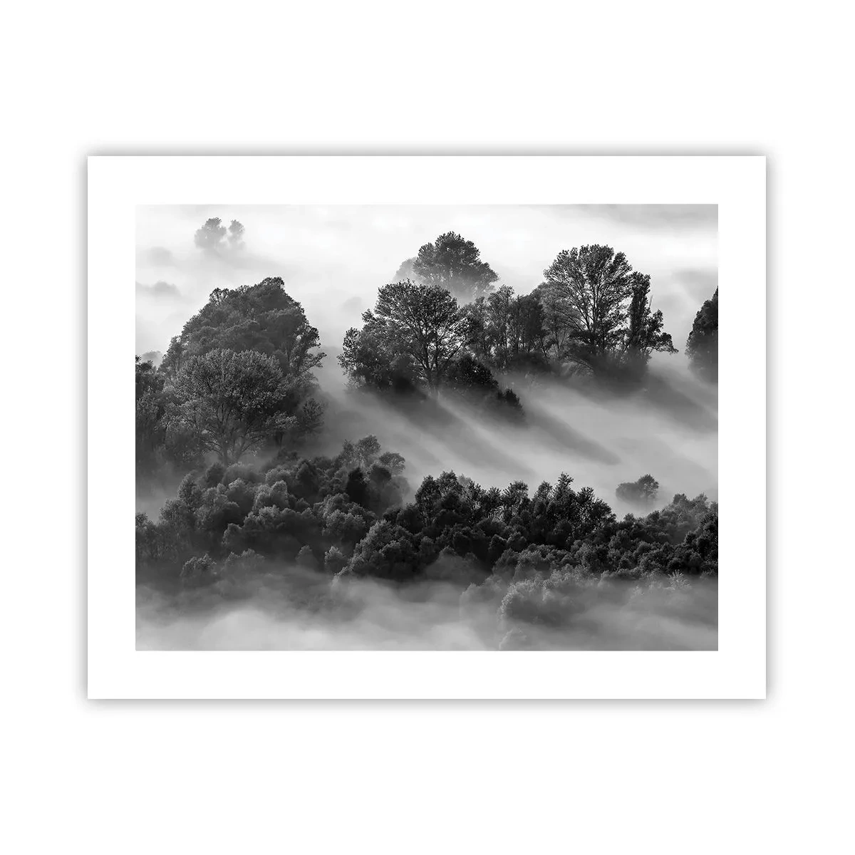Affiche - Poster - Sortir de son sommeil - 50x40 cm