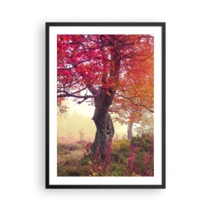 Affiche dans un cadre noir - Poster - Un arbre aux feuilles rouges dans un paysage d'automne - 50x70cm - Frénésie de floraison - Décoration murale moderne pour le salon et la chambre ARTTOR