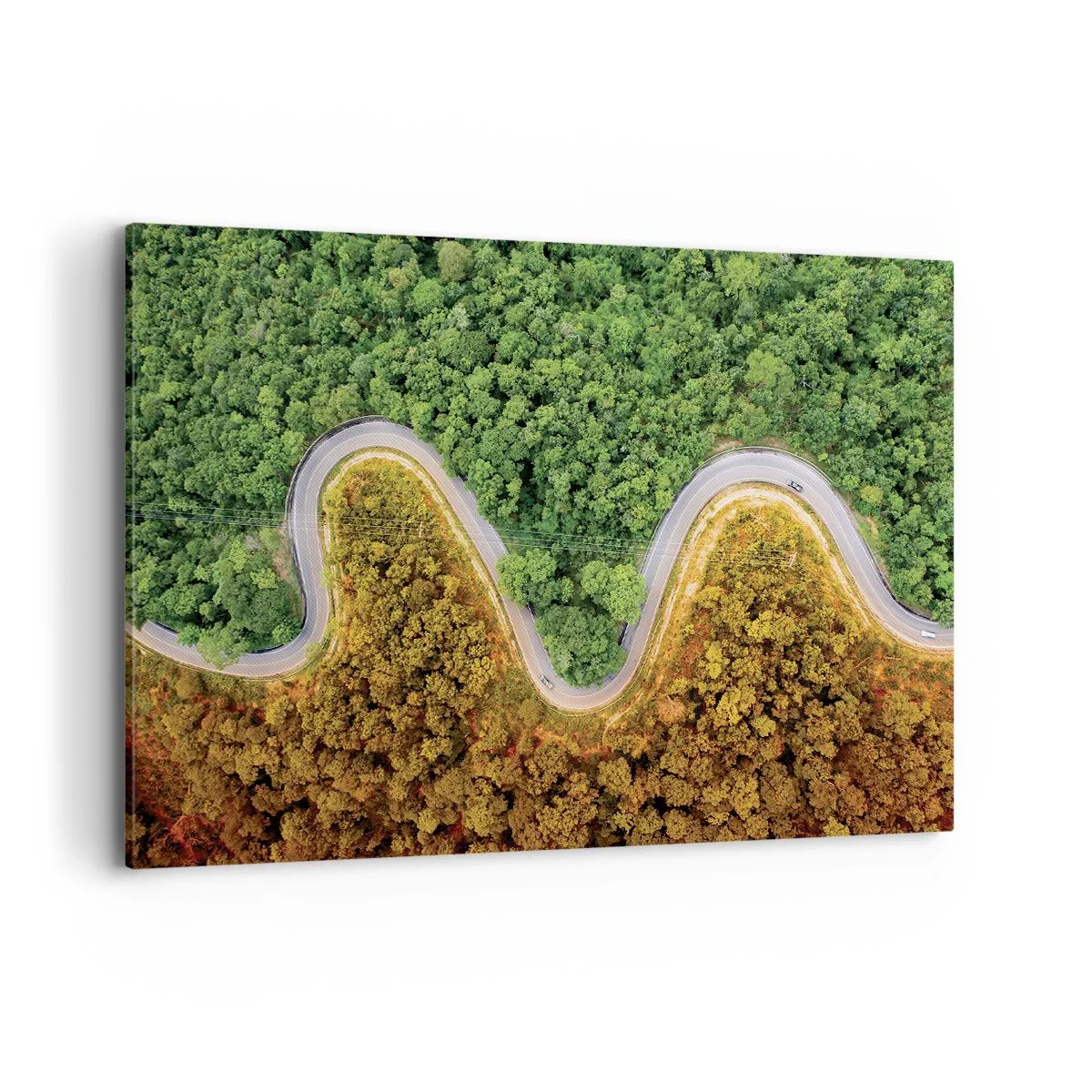Impression sur toile - Image sur toile - Une route sinueuse à travers la forêt vue à vol d'oiseau - 100x70cm - Frontieres et differences - Décoration murale moderne pour le salon et la chambre ARTTOR