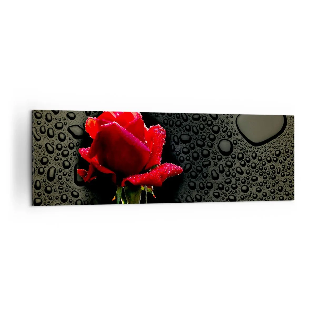 Impression sur toile - Image sur toile - Rose rouge avec des gouttes d'eau sur un fond sombre - 160x50cm - Rouge et noir - Décoration murale moderne pour le salon et la chambre ARTTOR