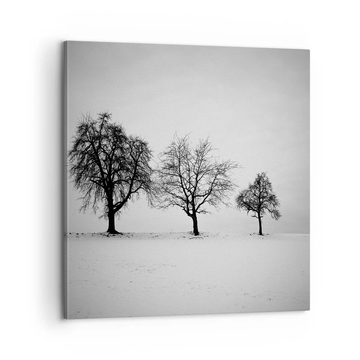 Impression sur toile - Image sur toile - A quoi rêvent-ils? - 60x60 cm