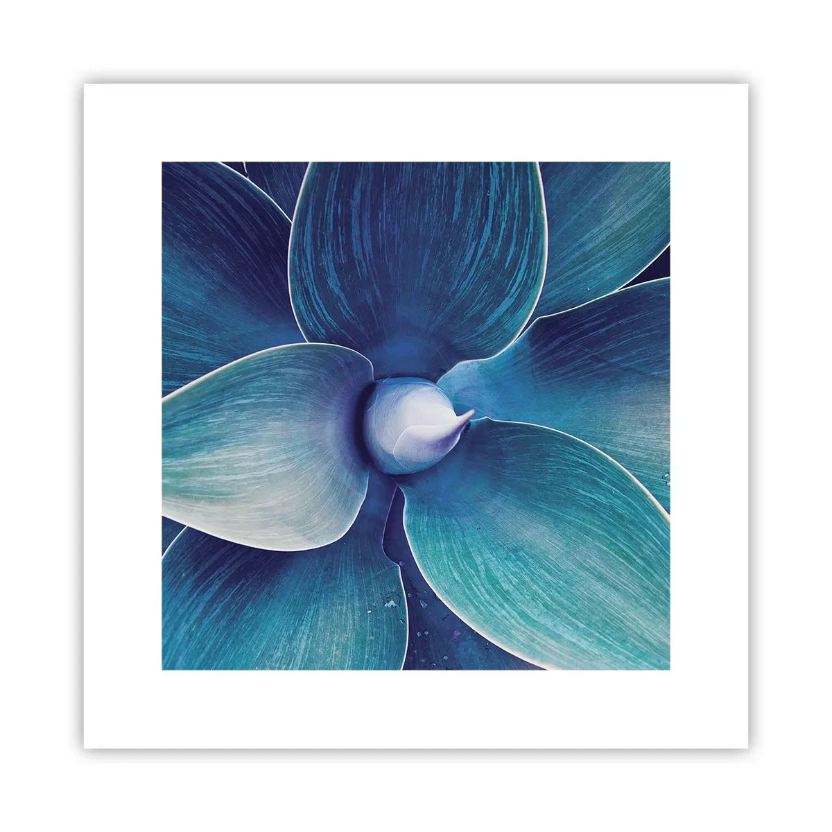 Affiche - Poster - Le bleu du ciel - 30x30 cm