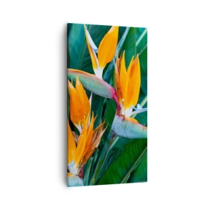 Impression sur toile - Image sur toile - Est-ce une fleur, est-ce un oiseaux? - 55x100 cm