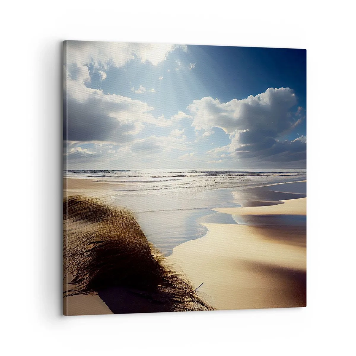 Impression sur toile - Image sur toile - Plage, plage sauvage - 60x60 cm