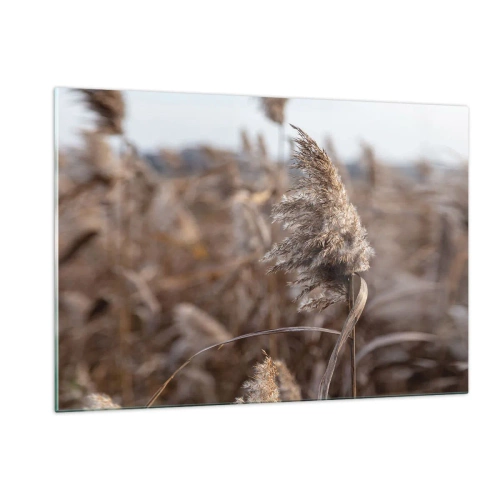 Impression sur verre - Image sur verre - Gros plan sur l'herbe sèche se balançant dans le vent - 120x80cm - Il est temps de s'envoler avec le vent - Décoration murale moderne pour le salon et la chambre ARTTOR