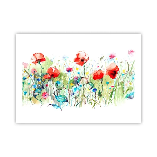 Affiche - Poster - Prairie de fleurs en mai - 70x50 cm
