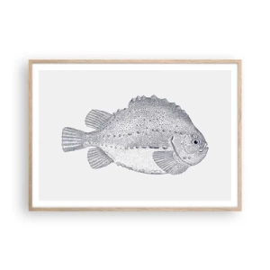 Affiche dans un chêne clair - Poster - Pour l'album du naturaliste - 100x70 cm