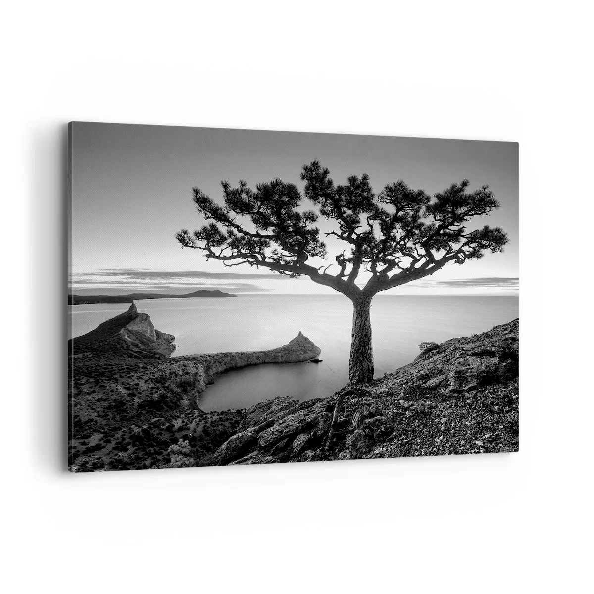 Impression sur toile - Image sur toile - Paysage noir et blanc avec un arbre solitaire sur une falaise au-dessus de la mer - 120x80cm - Paix jusqu'à l'horizon - Décoration murale moderne pour le salon et la chambre ARTTOR
