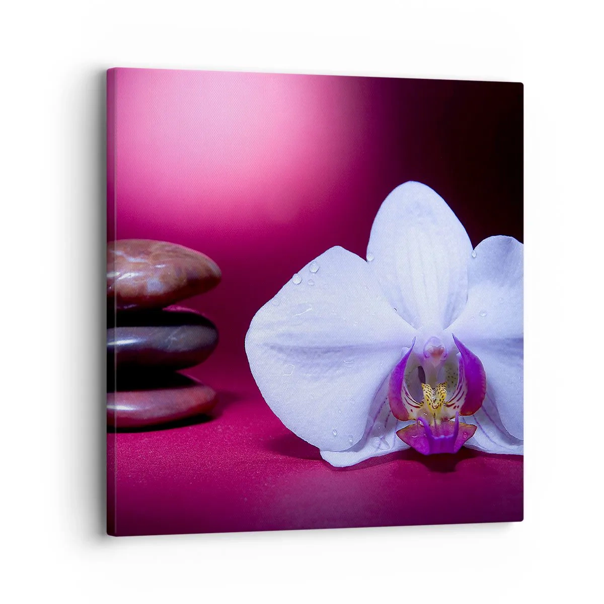 Impression sur toile - Image sur toile - Une étude de fraîcheur en violet - 30x30 cm