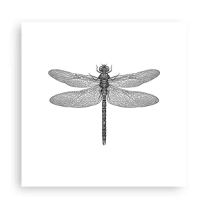 Affiche - Poster - Précision de la nature - 30x30 cm