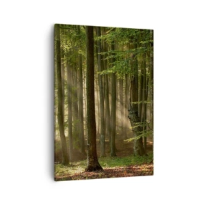 Impression sur toile - Image sur toile - Les rayons du soleil pénètrent à travers les arbres de la forêt - 50x70cm - Rayon d'un matin de printemps - Décoration murale moderne pour le salon et la chambre ARTTOR
