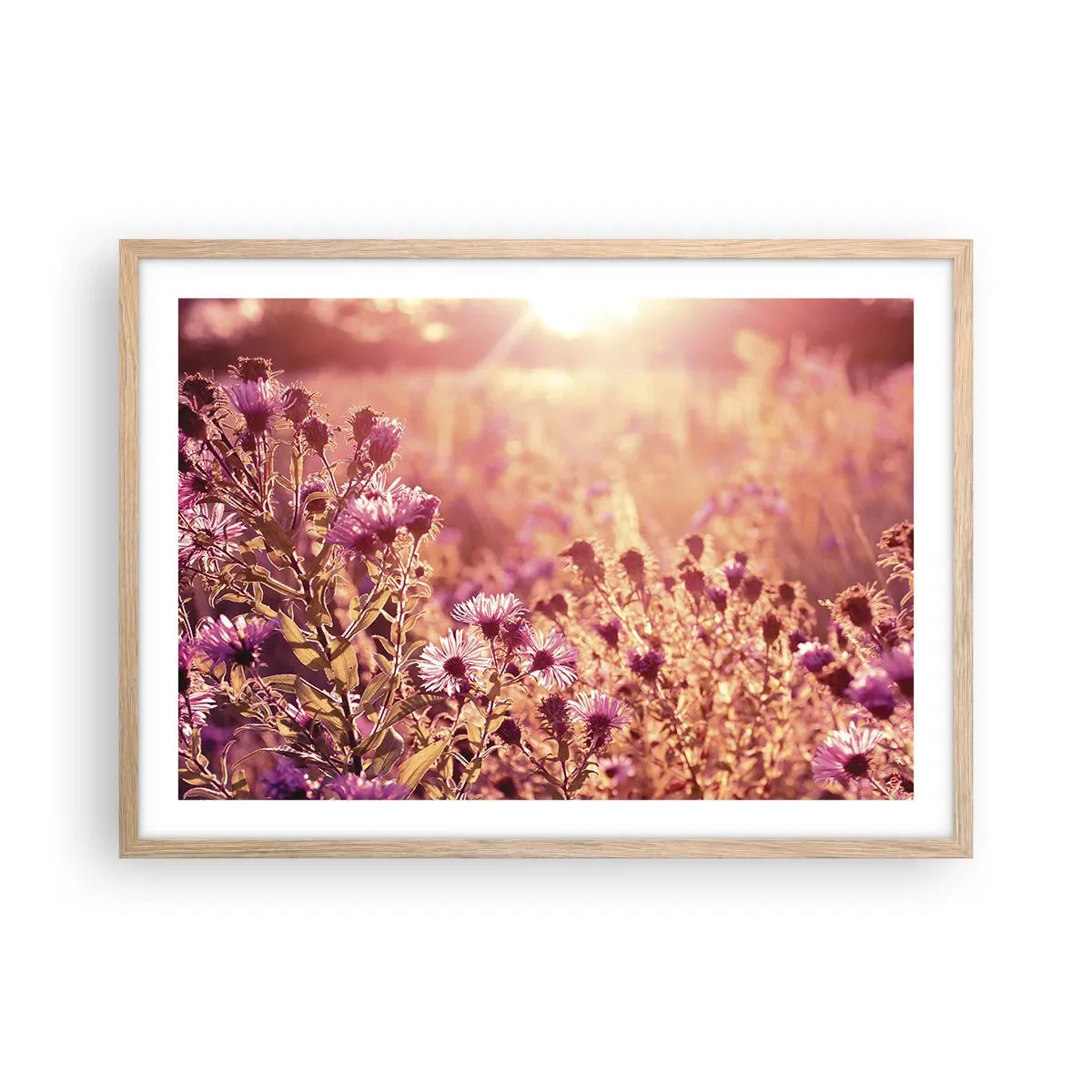 Affiche dans un chêne clair - Poster - Avant que l'été ne parte - 70x50 cm