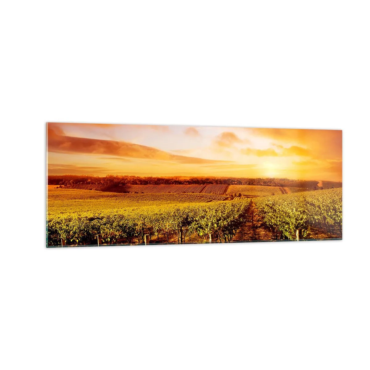 Impression sur verre - Image sur verre - Vignoble au coucher du soleil avec des tons de ciel chauds - 140x50cm - Légèrement fruité avec une pointe de soleil - Décoration murale moderne pour le salon et la chambre ARTTOR