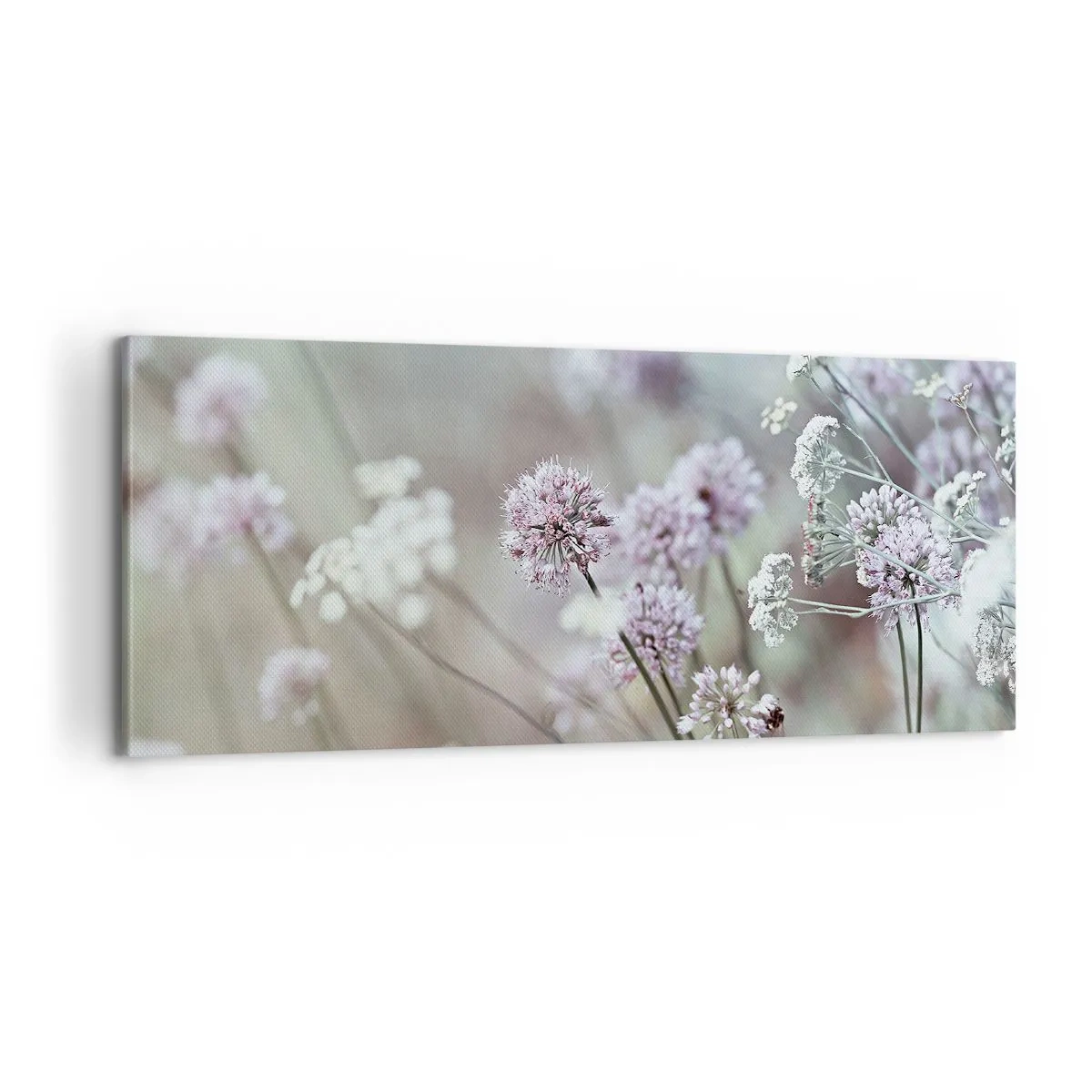 Impression sur toile - Image sur toile - Herbes douces en filigrane - 100x40 cm