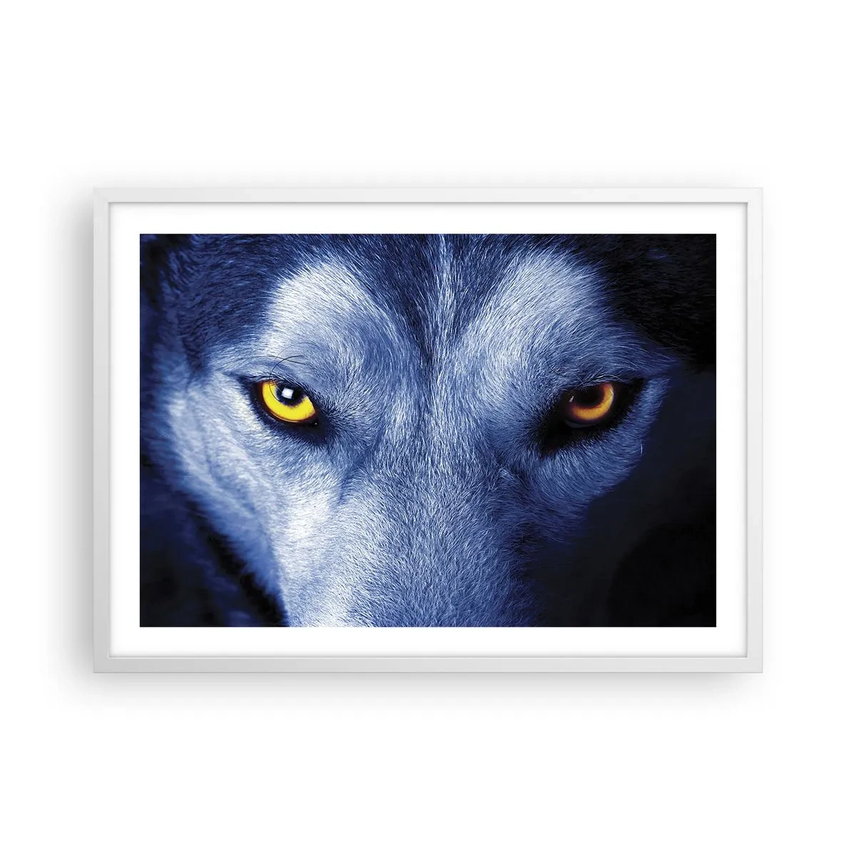 Affiche dans un cadre blanc - Poster - Regars hypnotique - 70x50 cm