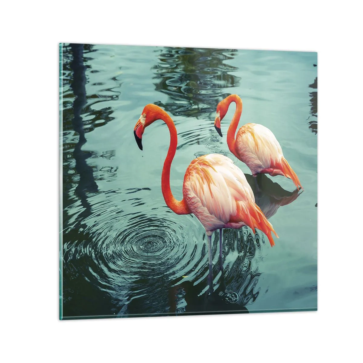 Impression sur verre - Image sur verre - Nous sommes à la mode maintenant - 40x40 cm