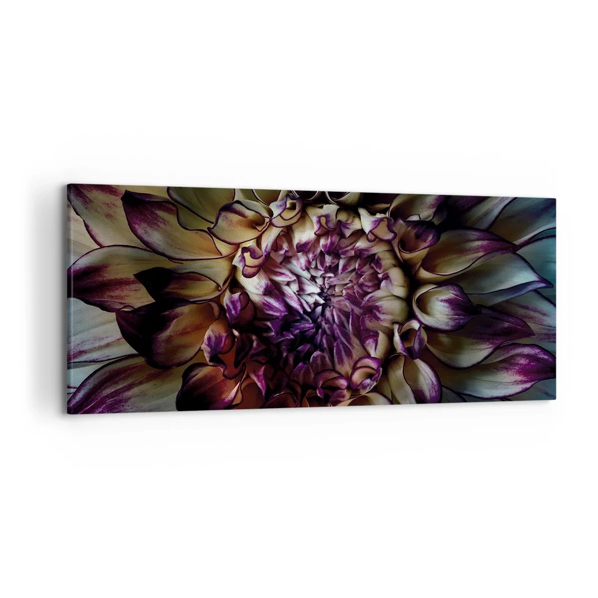 Impression sur toile - Image sur toile - Gros plan d'une fleur de dahlia dans des tons sombres - 120x50cm - L'apogée de la jeunesse - Décoration murale moderne pour le salon et la chambre ARTTOR
